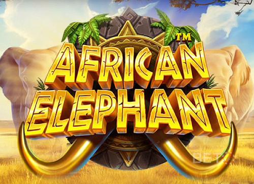 African Elephant