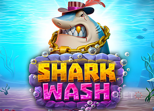 Shark Wash 