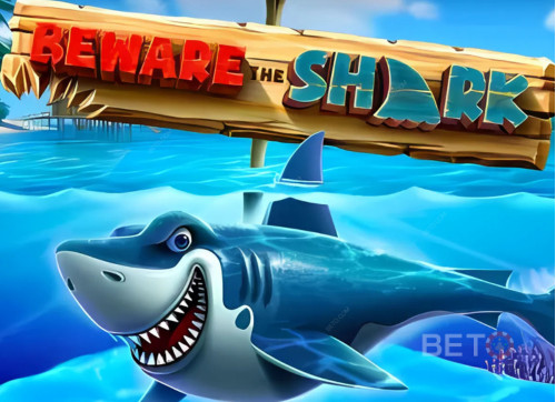 Beware the Shark