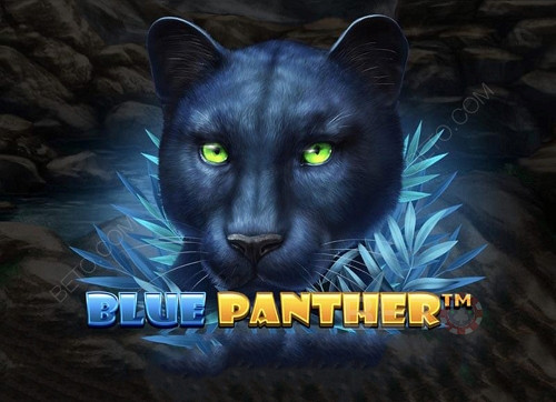 Blue Panther