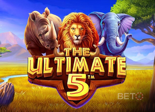 The Ultimate 5