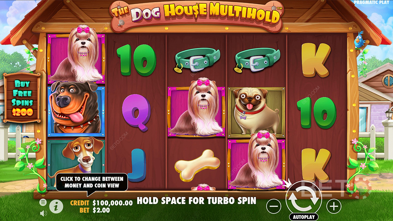 Theme & Design: Quirky Canine Community