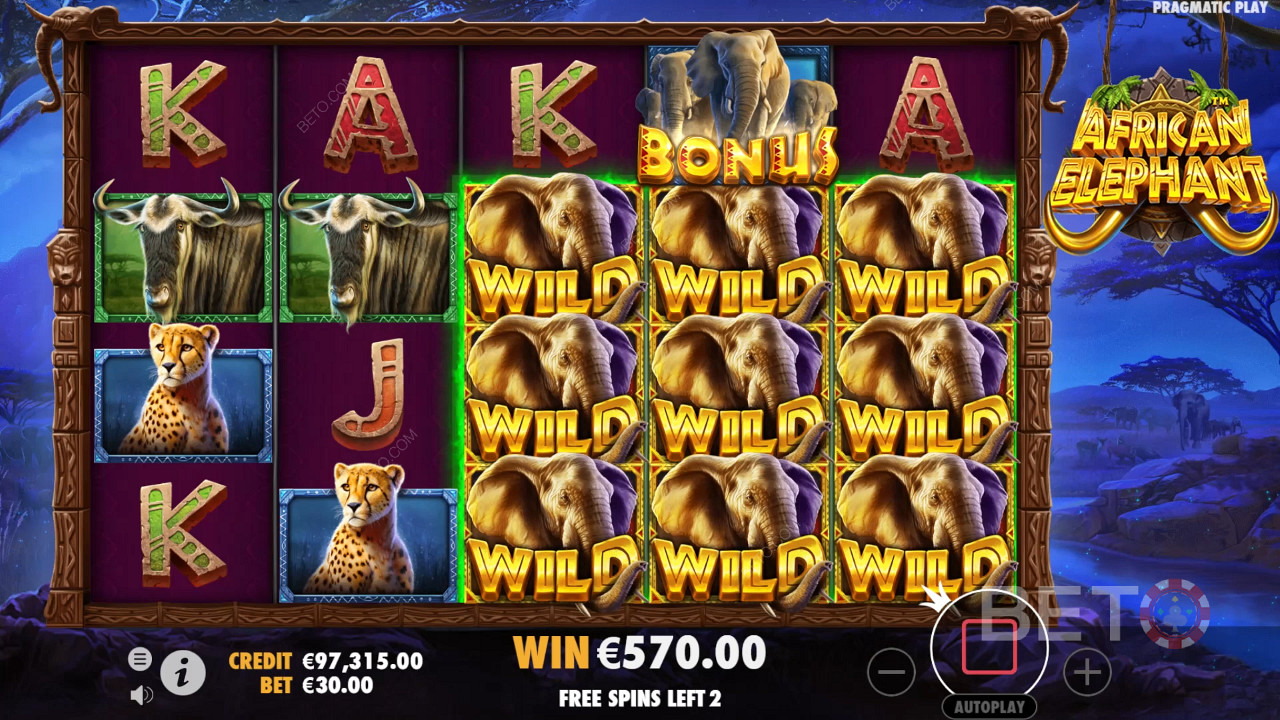 African Elephant Review by BETO Pokies