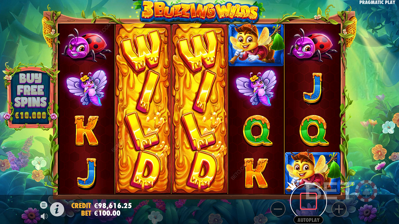 3 Buzzing Wilds Review by BETO Pokies