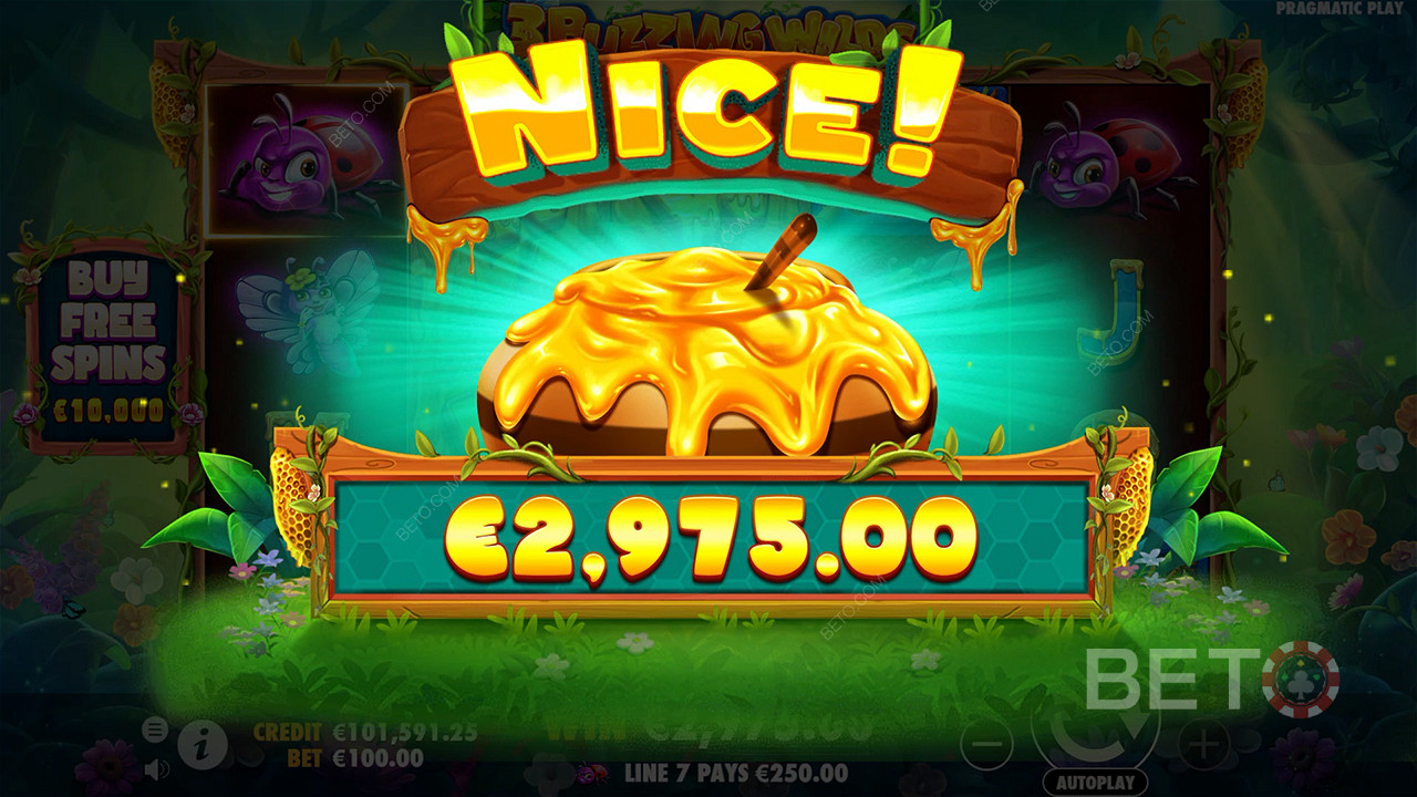 Score 5,000x Your Wager in the 3 Buzzing Wilds Pokie Online!