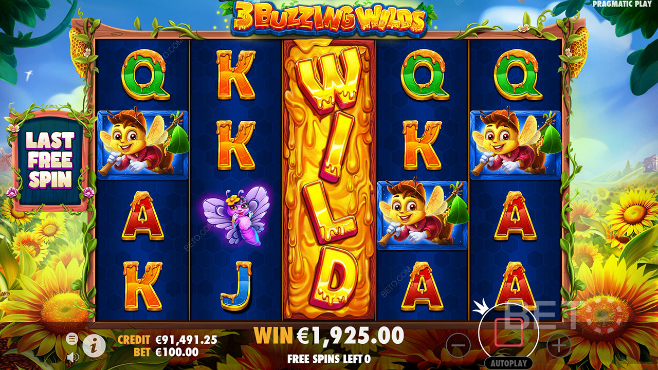 3 Buzzing Wilds: A Pokie Worth a Go?