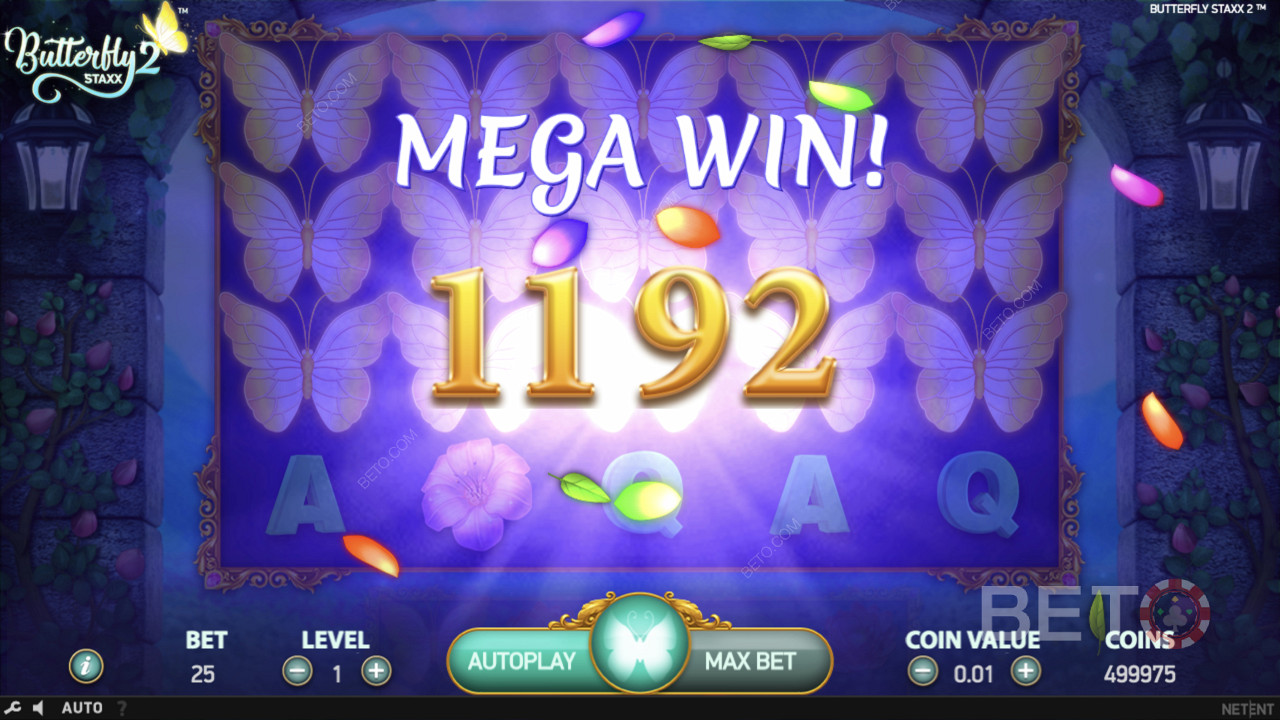 Kiwi-sized wins up for grabs