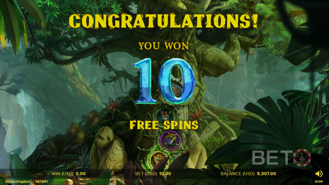 Scoring Free Spins in Gorilla Kingdom