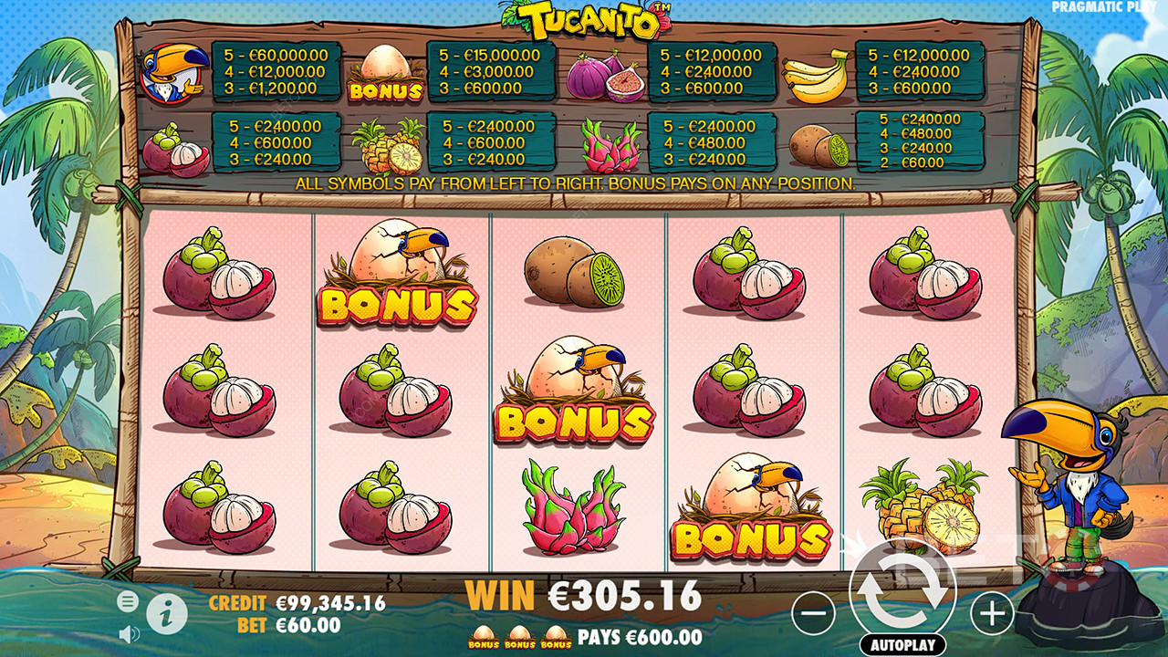 Theme & Design: Kiwi Jungle Escapade