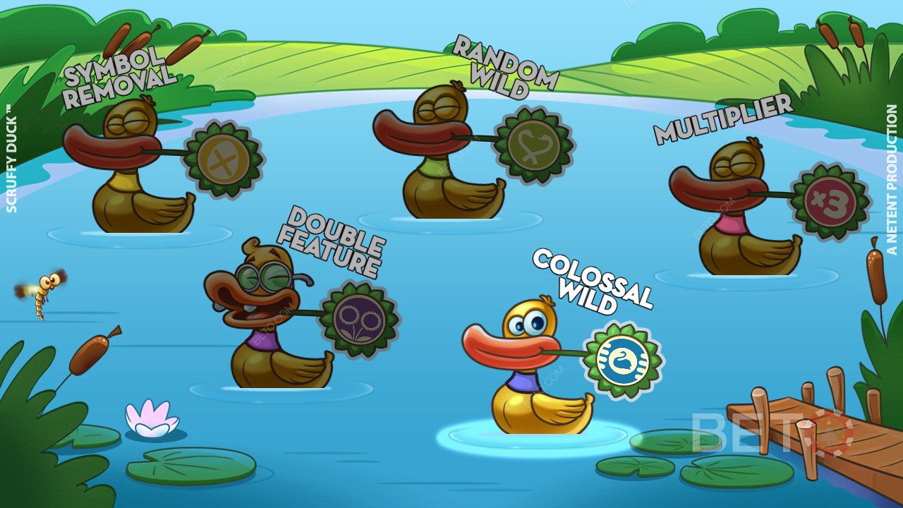 In Scruffy Duck watch the ugly duckling become a stunning swan