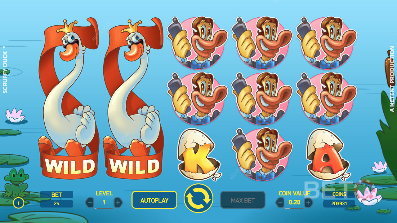 Scruffy Duck grid with 5 reels, 3 rows, 25 pay lines and a 96.49% RTP