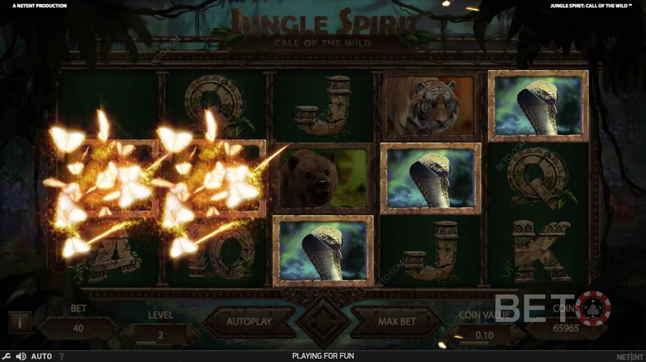 Kiwi Kicker Feature in Jungle Spirit: Call of the Wild
