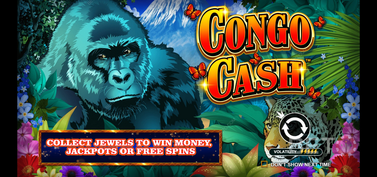 Congo Cash - trek with the Silverback in a bush bonanza