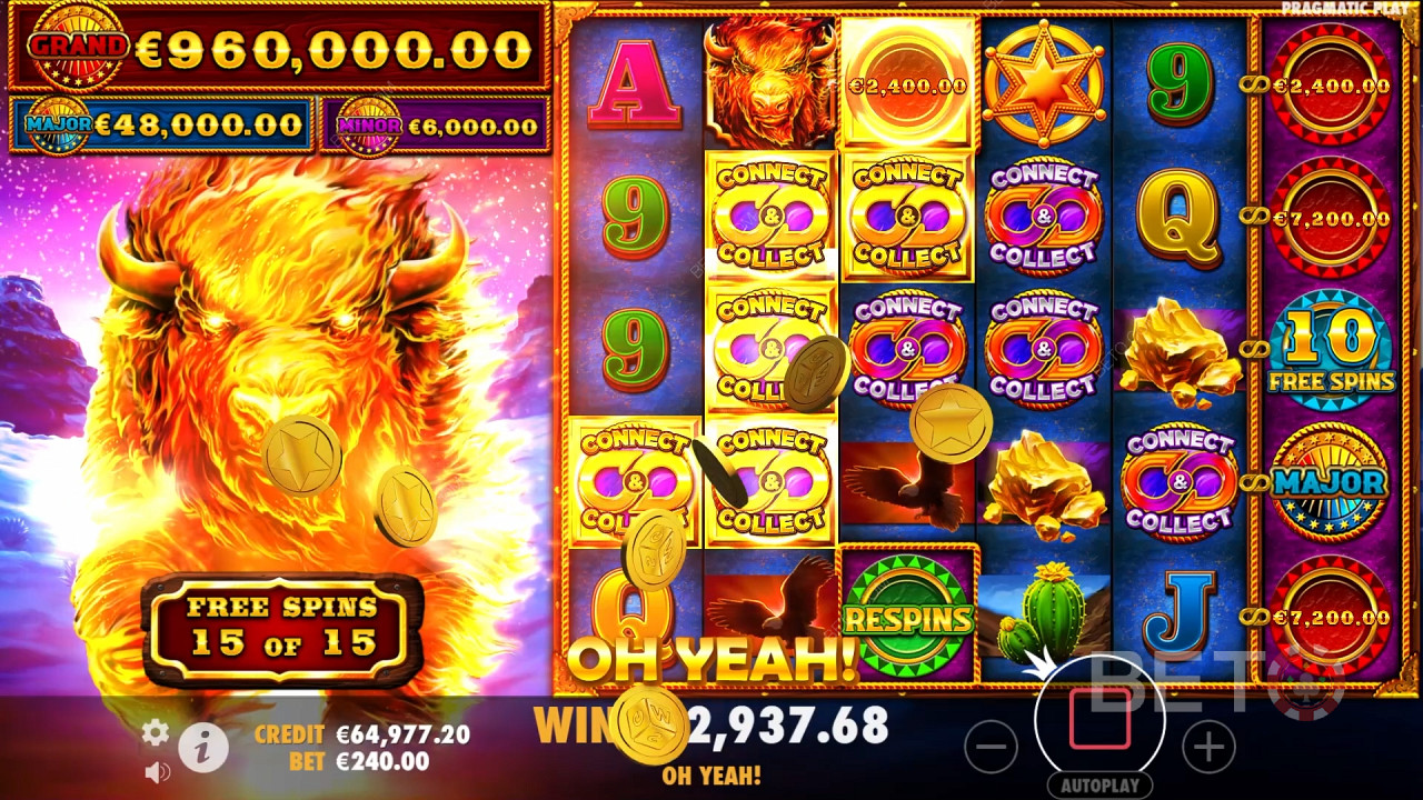 Theme & Design: Fiery Kiwi Safari Adventure