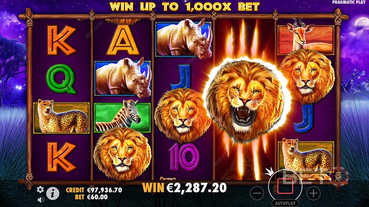 Safari King Review by BETO Pokies