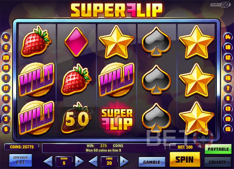 Kiwi Wins with Wild Symbols in Super Flip Pokie