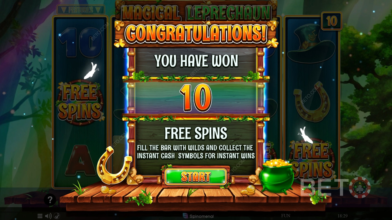 Theme & Design: Cheeky Kiwi Leprechaun Romp