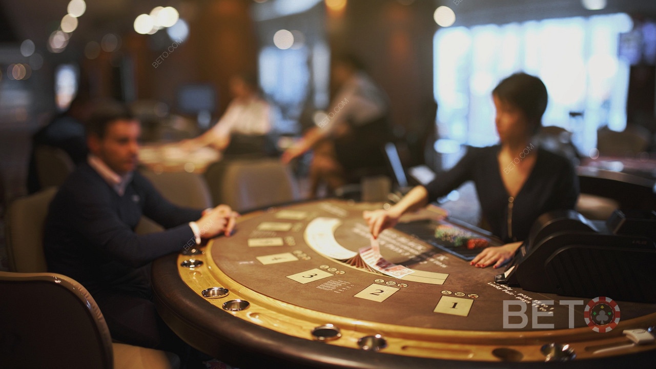 Sharpen your blackjack skills for free and master advanced strategies.