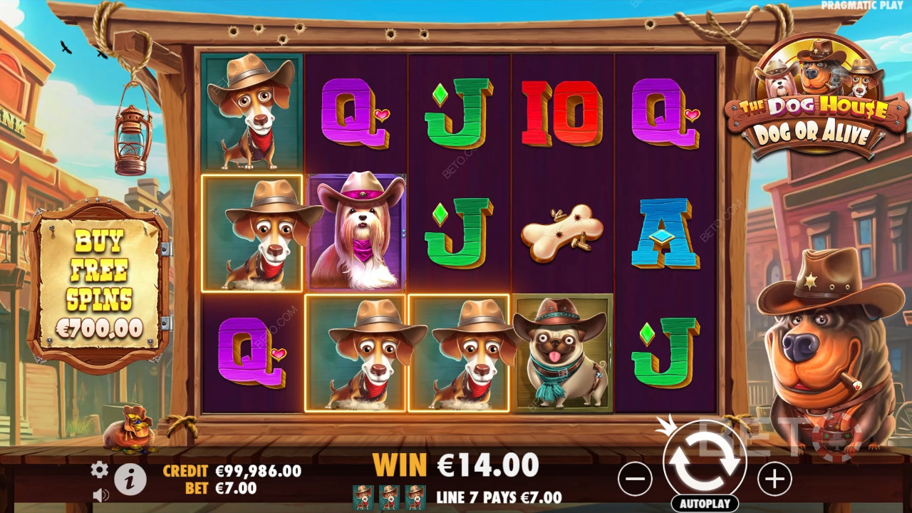 Theme & Design: Kiwi Canine Cowboys