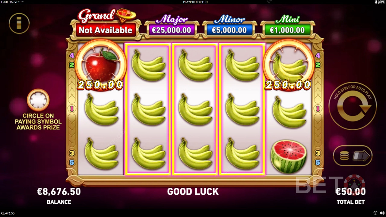 Theme & Design: Kiwi Orchard Bonanza