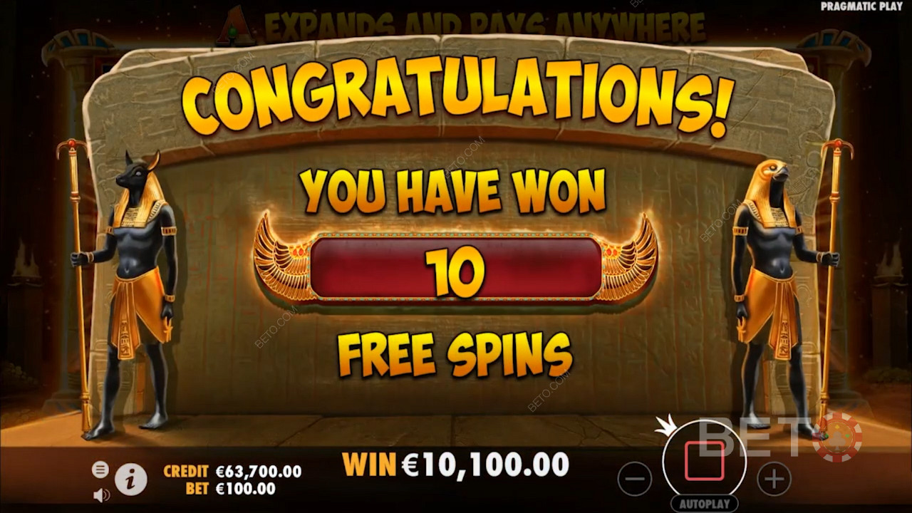 Scoring Free Spins in John Hunter And The Book Of Tut