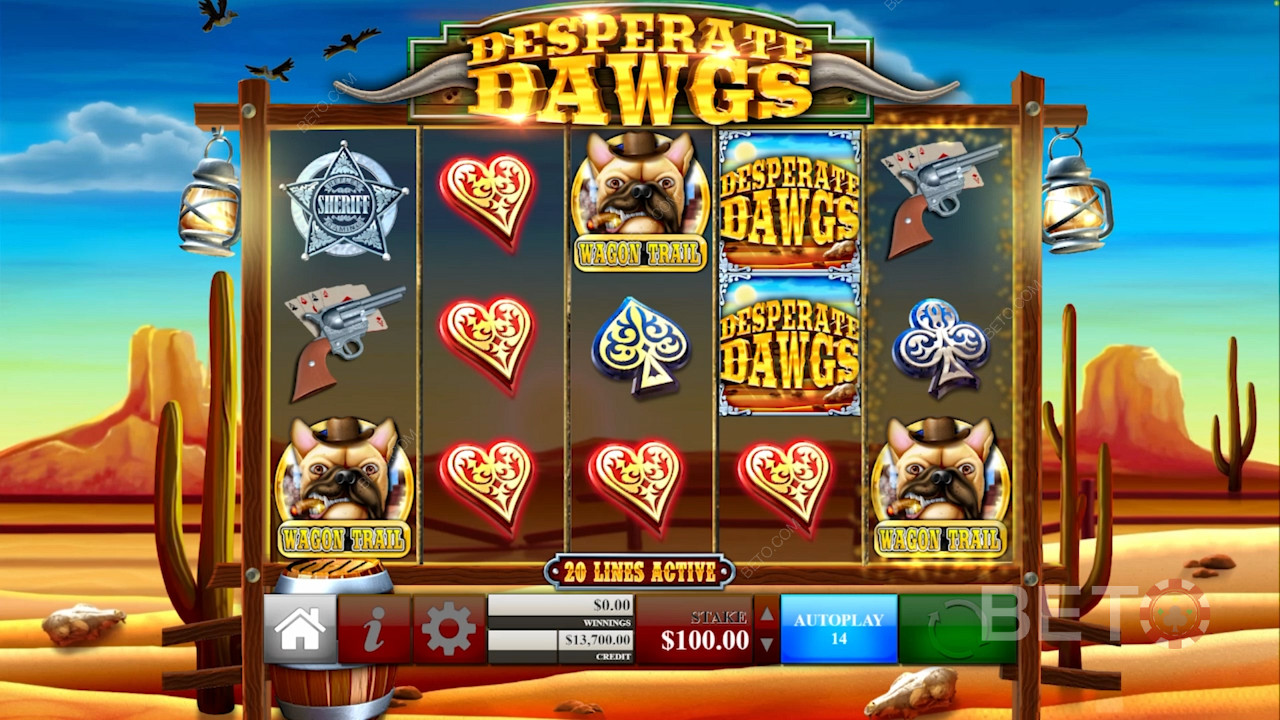Set up to 1,000 spins to play automatically