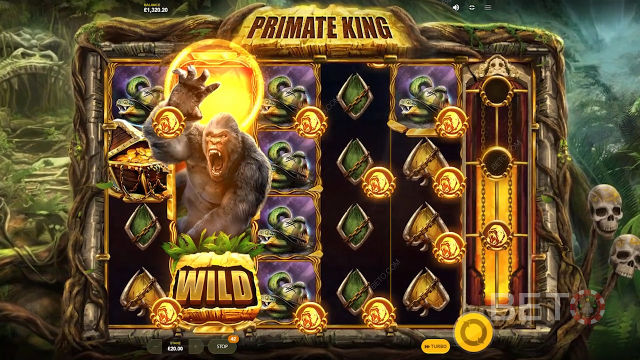 Primate King