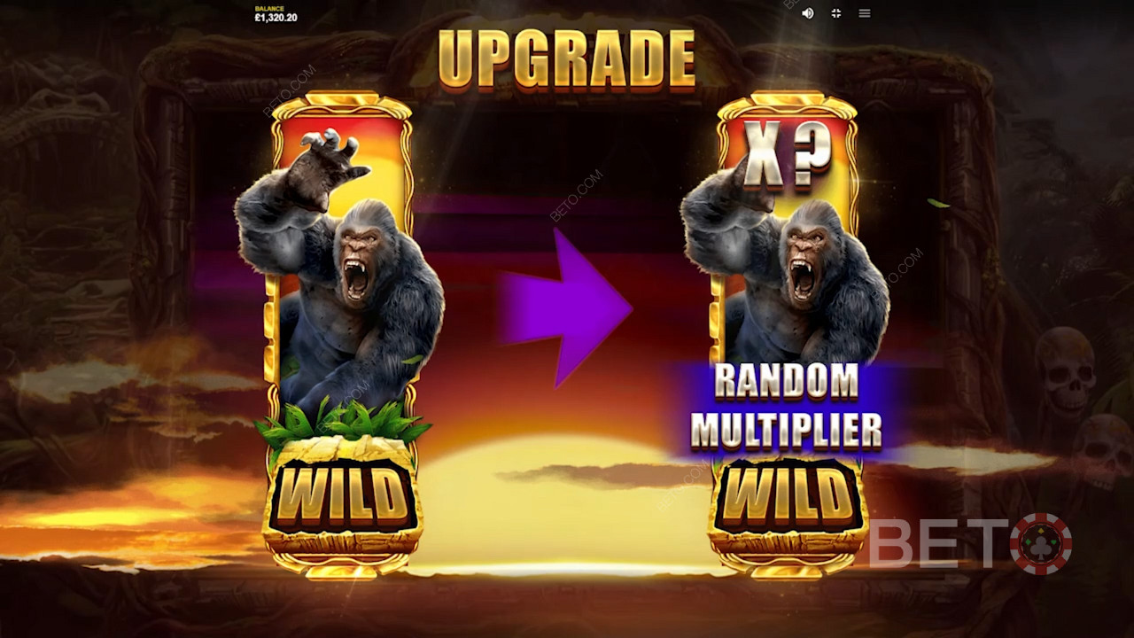 Level up with random multipliers for top wins