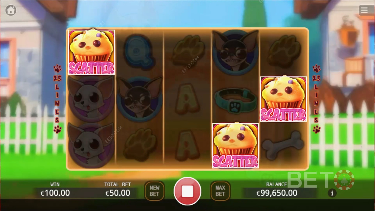 Chihuahua Shindig Review by BETO Pokies