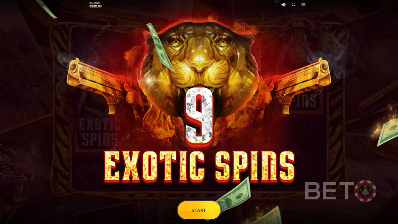 Scoring wild free spins in Joe Exotic