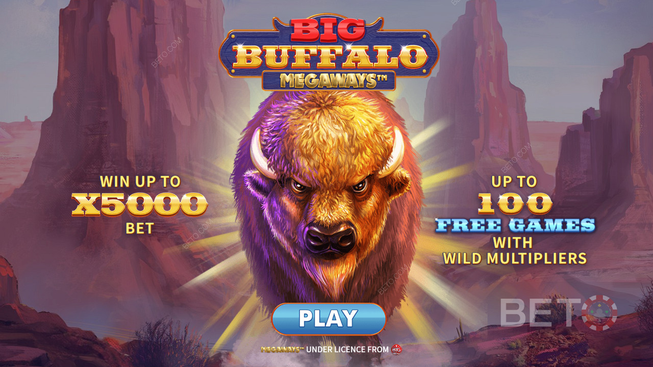 Score up to 5,000x your wager in Big Buffalo Megaways