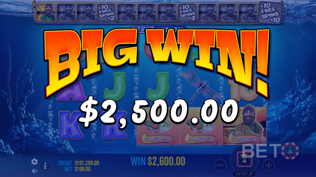 Theme & Design: Kiwi Fishing Expedition