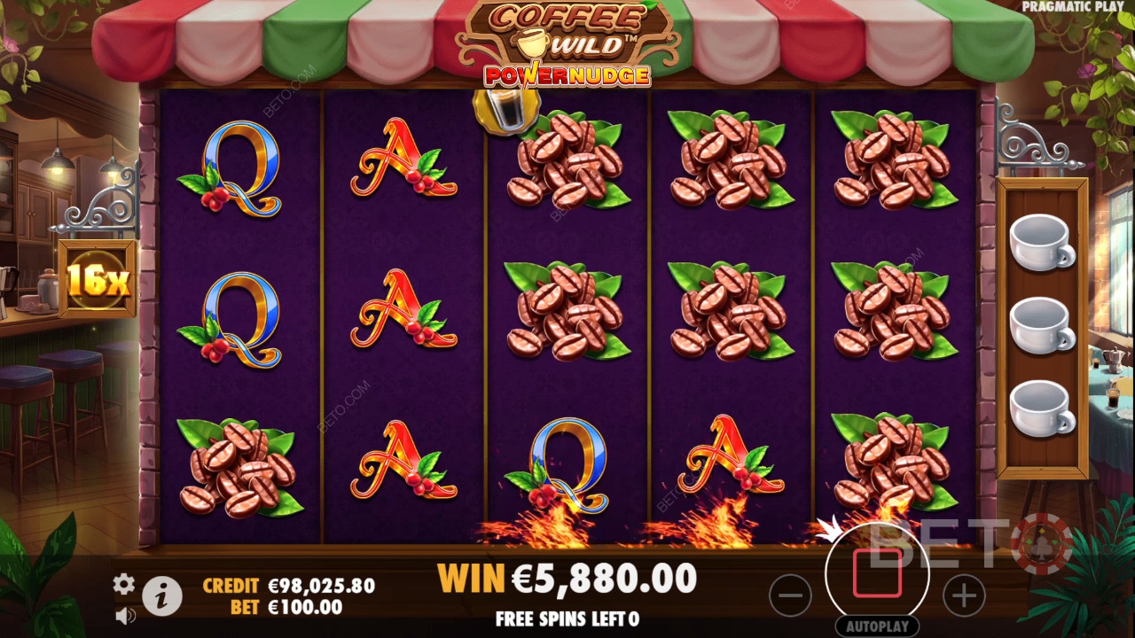Coffee Wild Pokie - Kiwi Final Verdict