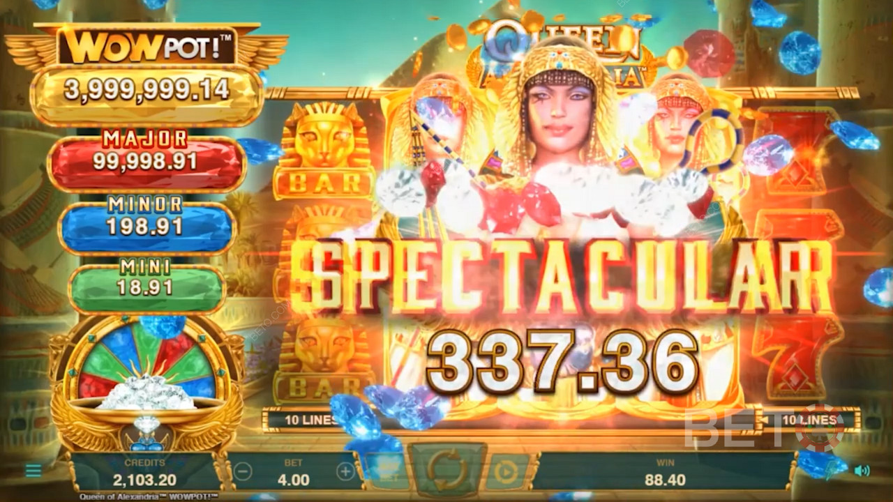 Kiwi punters, watch for Cleo
