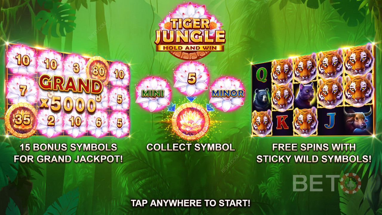 Score a Massive Payout of up to 5000x Your Initial Bet