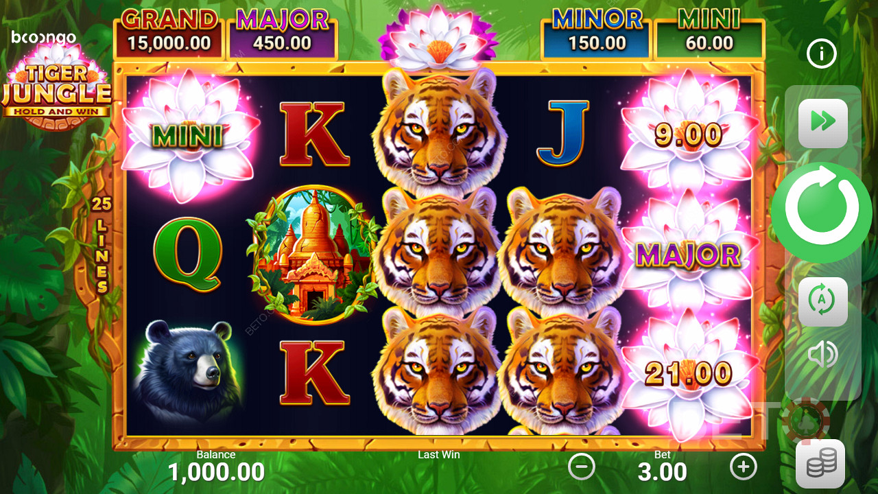 Score big in pokies like Tiger Jungle Hold and Win