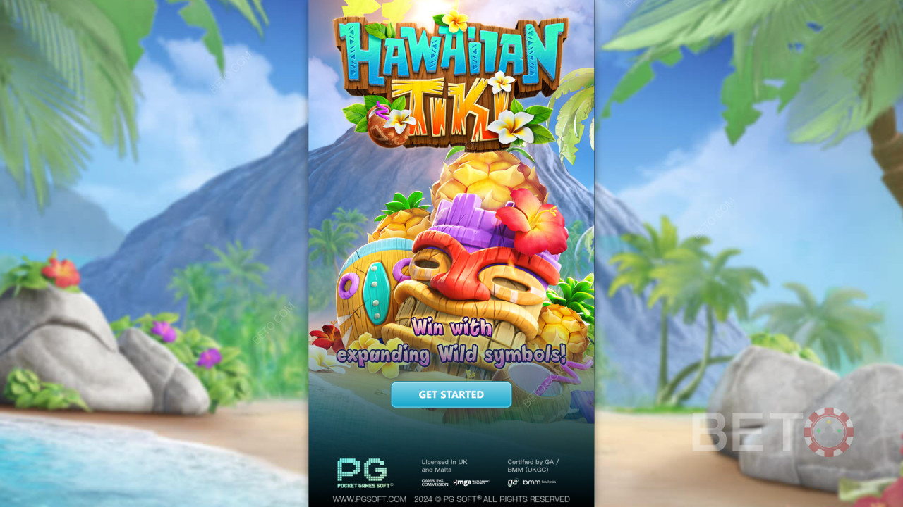 Theme & Design: Kiwi Island Paradise