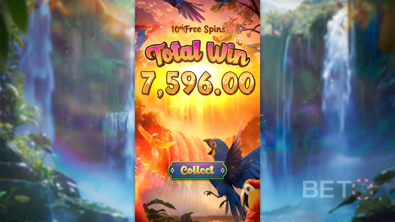 Wings of Iguazu - Sweet As or Nah