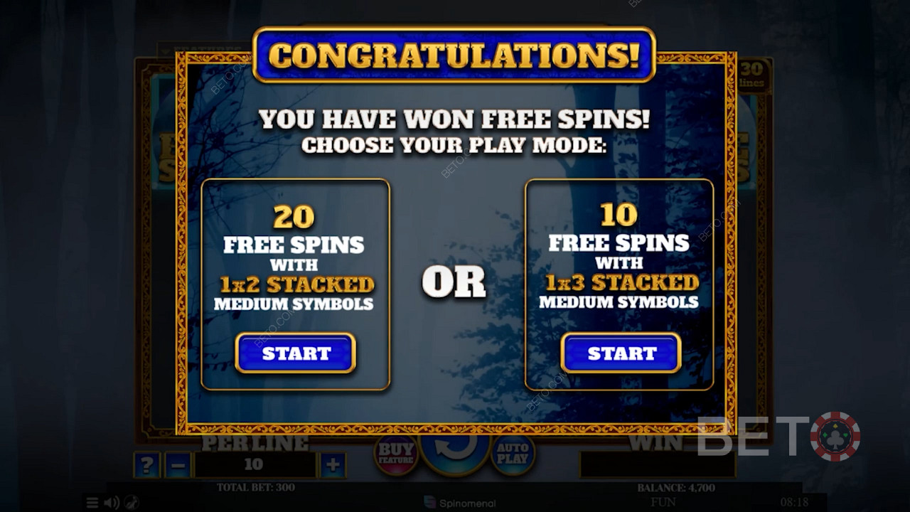 Trigger the Free Spins feature and pick from 2 types of Free Spins rewards