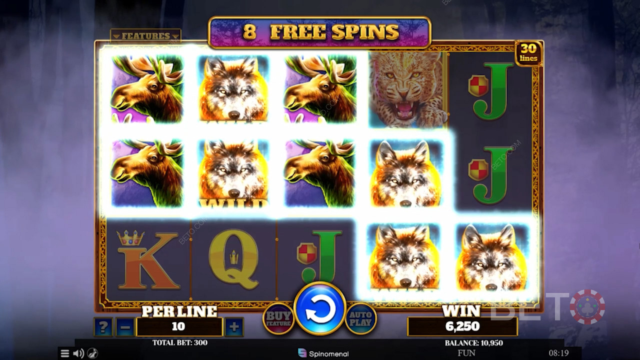 Score 5 Wild symbols to nab the Top Prize of 1,000x your wager