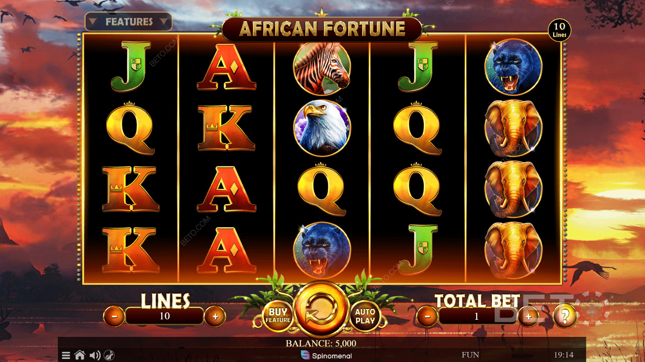 African Fortune