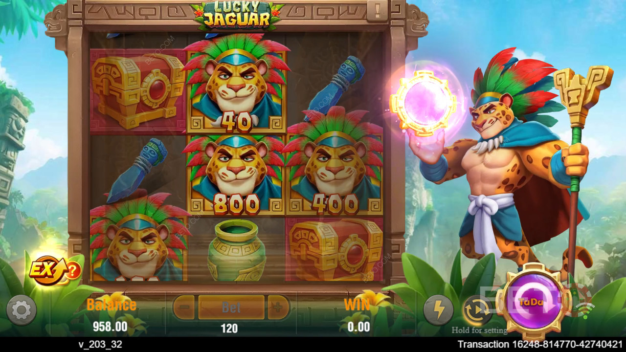 Theme & Design: Kiwi Jungle Expedition Vibe