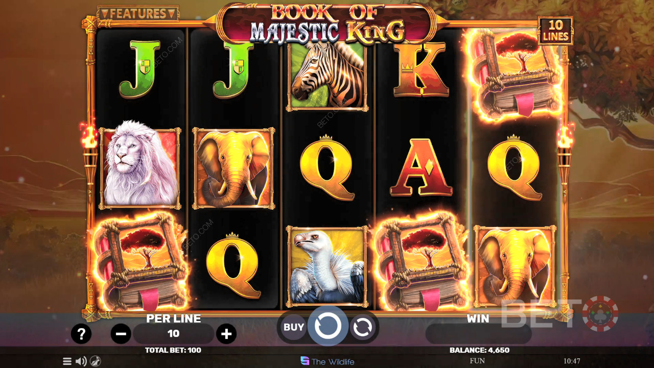 Book of Majestic King Review by BETO Pokies