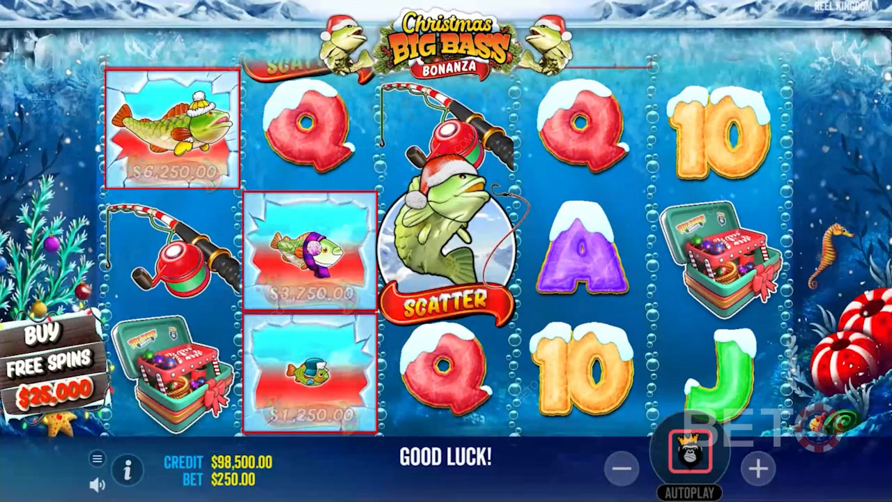 Dive into Kiwi Christmas fun with a festive fishing frenzy