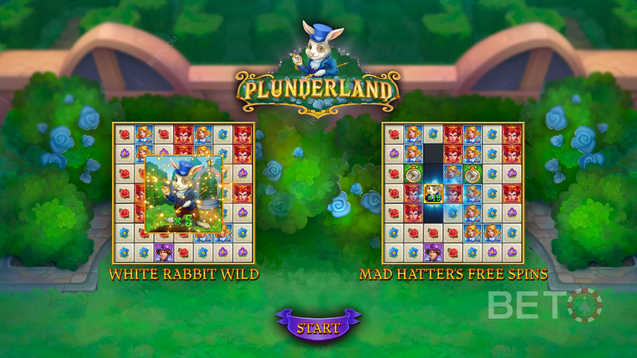 Kiwi Treasure Hunt: Expanding Wilds & Win Multipliers in Plunderland