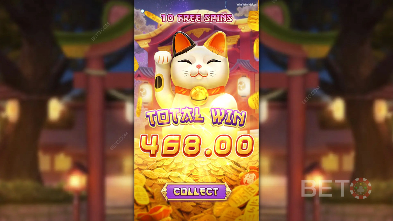 Win Win Neko - Sweet As or Not?