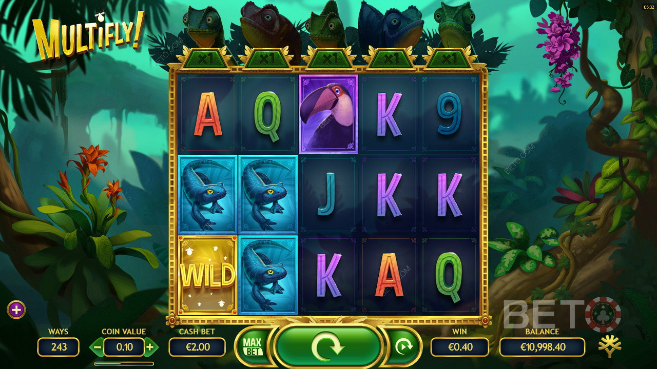 Kiwi-style slot with flash graphics and smooth animations