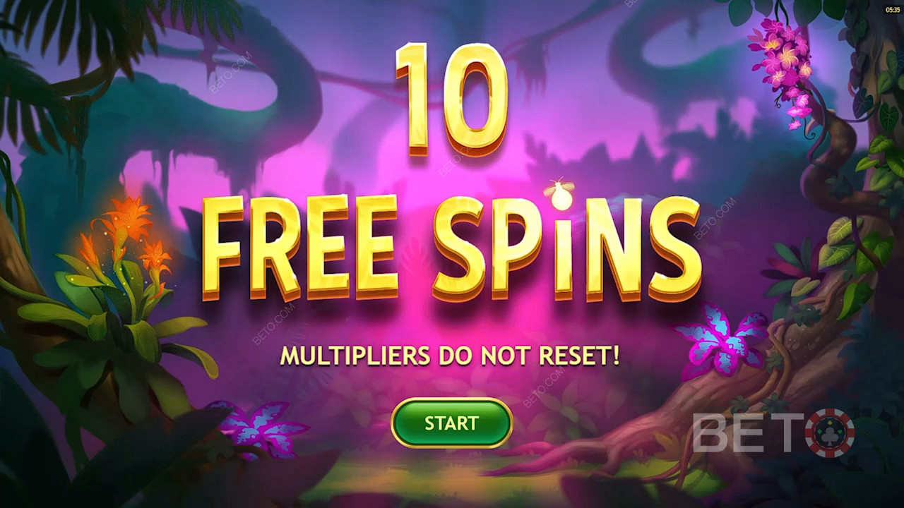 Score 10 Free Spins when 3 Scatters appear