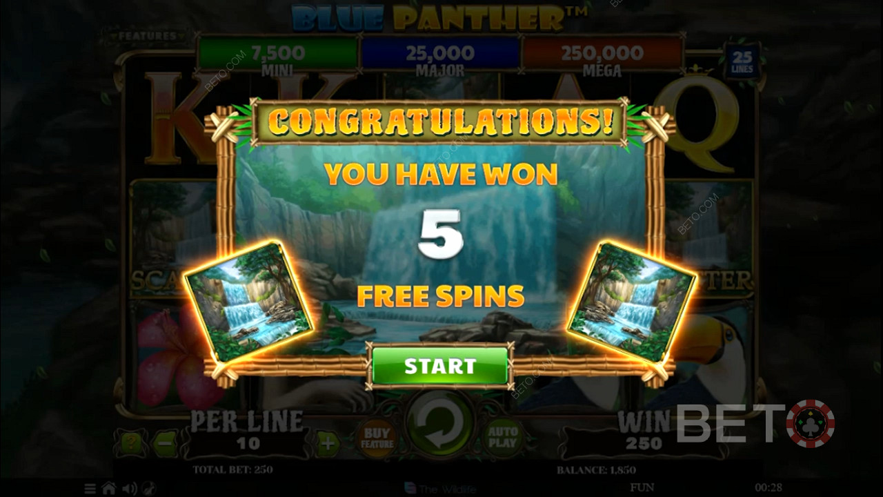 Score 5 bonus Free Spins by triggering the Free Spins feature