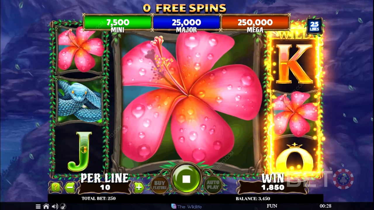 Score Free Spins and enjoy sweet perks like bonus re-spins and Expanding symbols